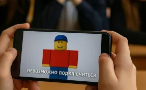 Весь класс кричал: «Верните Роблокс!». Как дети и их родители отреагировали на блокировку популярной игры