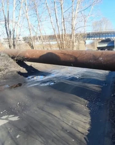 Фото: <a href=https://t.me/ilyin_nk>Денис Ильин</a>/ Telegram