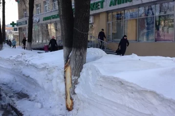 Фото: Повредили деревья: кемеровчане возмущены уборкой снега на проспекте Ленина 1