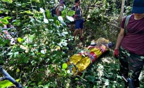 В Кузбассе спасатели эвакуировали из тайги упавшего с кедра сборщика шишек