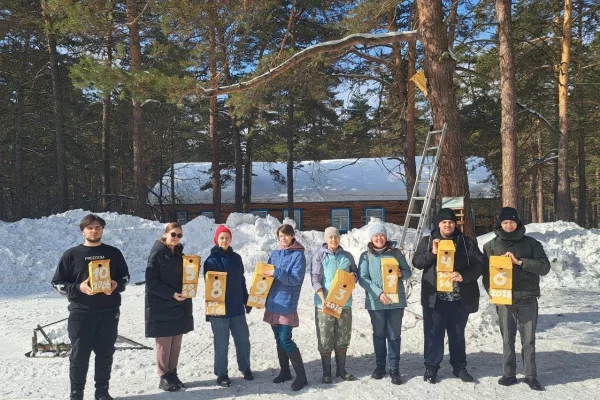 В Кемерове экологи и волонтёры построили домики для птиц в Рудничном бору