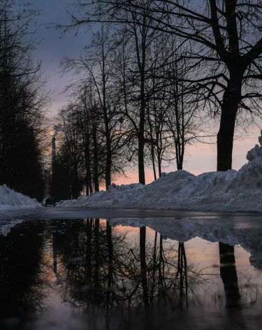 Фото: A42.RU