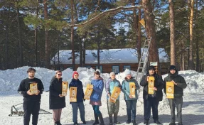 В Кемерове экологи и волонтёры построили домики для птиц в Рудничном бору