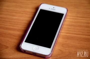Фото: Новокузнечанин соврал о краже потерянного телефона, чтобы полицейские быстрее его нашли 1