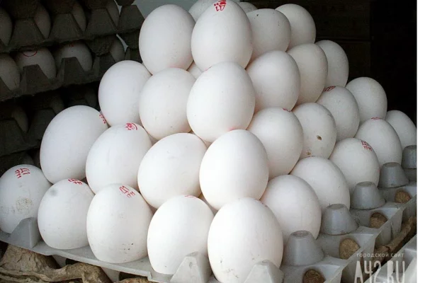 Нутрициолог назвала самые полезные способы приготовления яиц