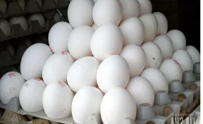 Нутрициолог назвала самые полезные способы приготовления яиц