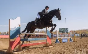 Соревнования по конному спорту памяти погибшей в «Зимней вишне» Арины Тесленко