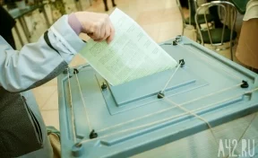 Элла Памфилова озвучила предварительные итоги выборов: явка составила 59,32%