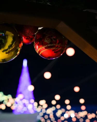 Депутат Новичков призвал сделать 30 декабря коротким рабочим днём