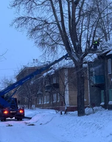 Фото: мэрия Кемерова/ Telegram