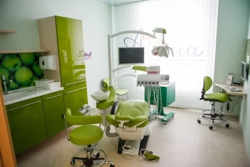 Фото: Малый бизнес в лицах. Сеть стоматологических клиник «Алёна», где кузбассовцев избавляют от страха лечить зубы 4