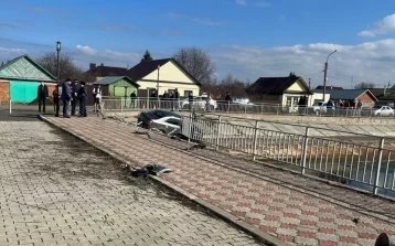Фото: Малолетний ребёнок погиб под колёсами иномарки в Татарстане  1