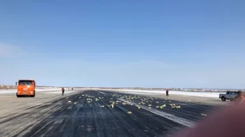 Фото: В Сети появилось видео с «сорившего» золотом самолёта в Якутске 1