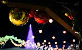 Депутат Новичков призвал сделать 30 декабря коротким рабочим днём