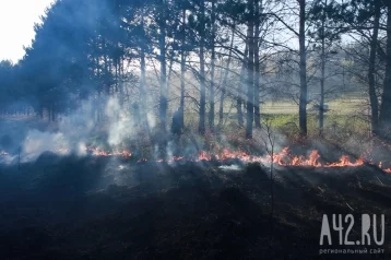 Фото: Лесные пожары: в МЧС рассказали об отсутствии угрозы для населённых пунктов Сибири  1