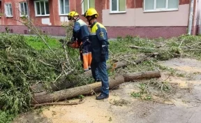 В Кемерове более 220 специалистов ликвидируют последствия урагана 