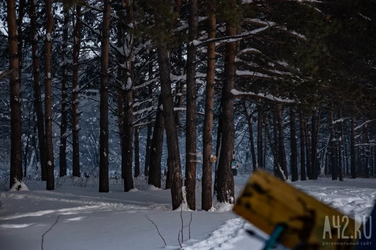 Фото: Мороз и солнце: зимняя природа Кемерова и его окрестностей 30
