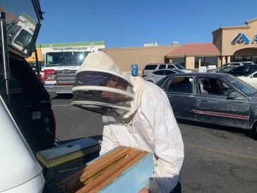 Фото: В припаркованный у магазина автомобиль залетел огромный рой пчёл 2