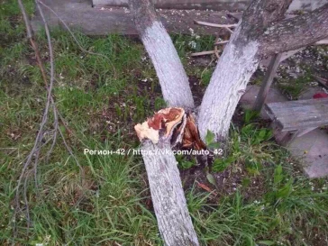 Фото: Кемеровчане сообщили о перевёрнутых ветром «домиках»  4