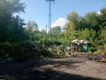 Фото: Кемеровчане пожаловались на мусорную свалку в частном секторе 1