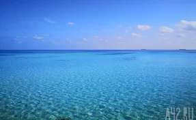 В Бразилии 13-летний мальчик погиб после нападения акулы