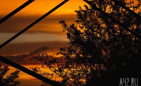 Синоптики прогнозируют избыток осадков в четырёх российских округах 