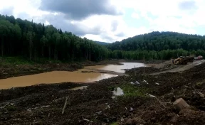 На юге Кузбасса золотодобытчики загрязняли ручей Картагол