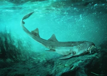 Фото: Новый род акул назвали в честь популярной видеоигры 1