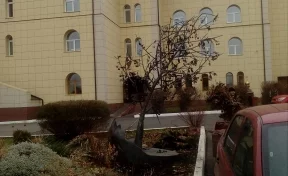Названы сроки, когда в Кемерове завершат установку кованого дерева в память о трагедии в «Зимней вишне»