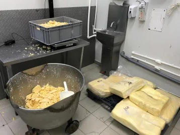 Фото: СК: в Подмосковье фирма переплавляла заражённый кишечной палочкой сыр для перепродажи 1