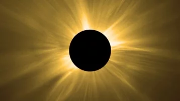 Фото: В NASA опубликовали ролик с главными моментами «великого солнечного затмения» 1