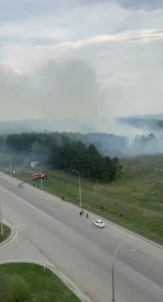 Фото: В Кемерове загорелась трава в Серебряном бору  1