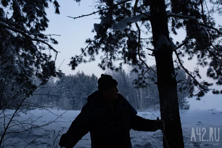 Фото: Мороз и солнце: зимняя природа Кемерова и его окрестностей 33