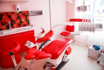 Фото: Малый бизнес в лицах. Сеть стоматологических клиник «Алёна», где кузбассовцев избавляют от страха лечить зубы 5