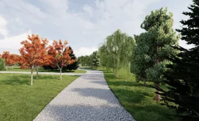 В кузбасском посёлке высадят более 1 000 деревьев при благоустройстве зоны отдыха