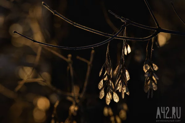 Синоптики рассказали о погоде в Кузбассе в первый день апреля