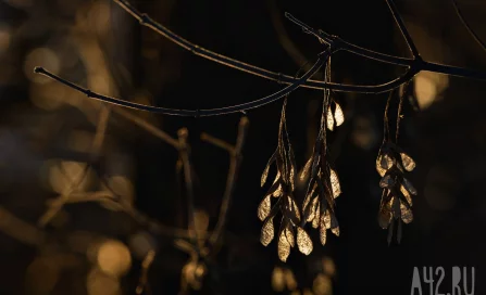 Синоптики рассказали о погоде в Кузбассе в первый день апреля