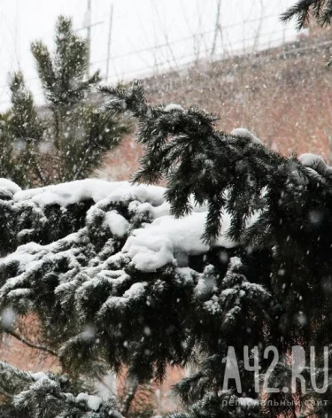 Фото: A42.RU