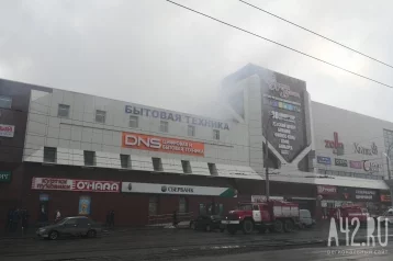 Фото: МЧС: Пока рано говорить о причинах пожара в «Зимней вишне» в Кемерове 1