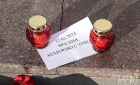 Кемеровчане начали нести цветы к памятникам в память о погибших в Подмосковье