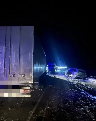 Фото: ГУ МВД России по Новосибирской области / Телеграм