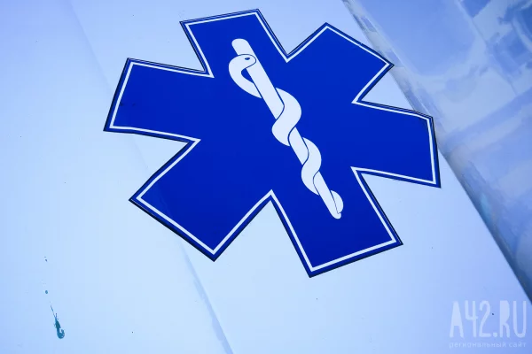 В Индии женщина с топором отогнала медведей и спасла мужа       