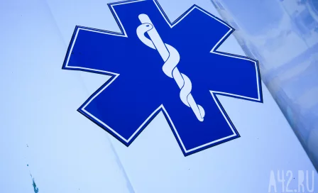 В Индии женщина с топором отогнала медведей и спасла мужа       