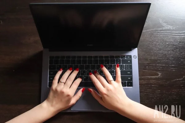 «Ведомости»: на выборах в Госдуму хотят задействовать маркетплейсы