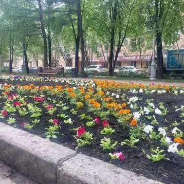 Фото: В Кемерове высадят более миллиона цветов 4