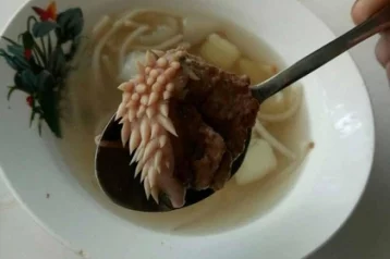 Фото: Щупальца и личинки: курганских школьников накормили странным мясом 1