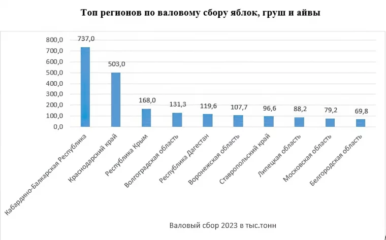 Фото: РСХБ составил рейтинг регионов по сбору яблок и других семечковых  2