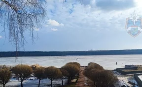 В Ленинградской области мужчина попытался спасти собаку и провалился под лёд