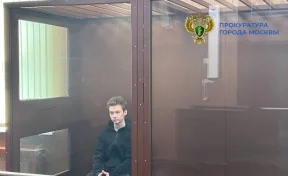 В Москве сын актёра Вадима Демчога получил 2 года колонии за дропперство