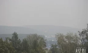 В Кузбассе вводят особый противопожарный режим